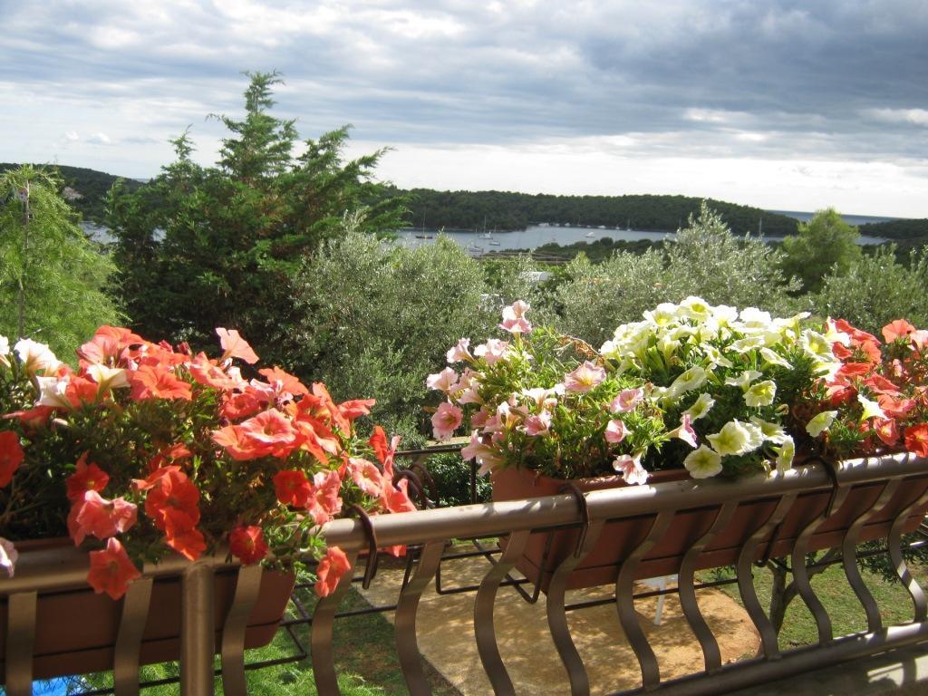 Villa Triton Vinkuran Kültér fotó
